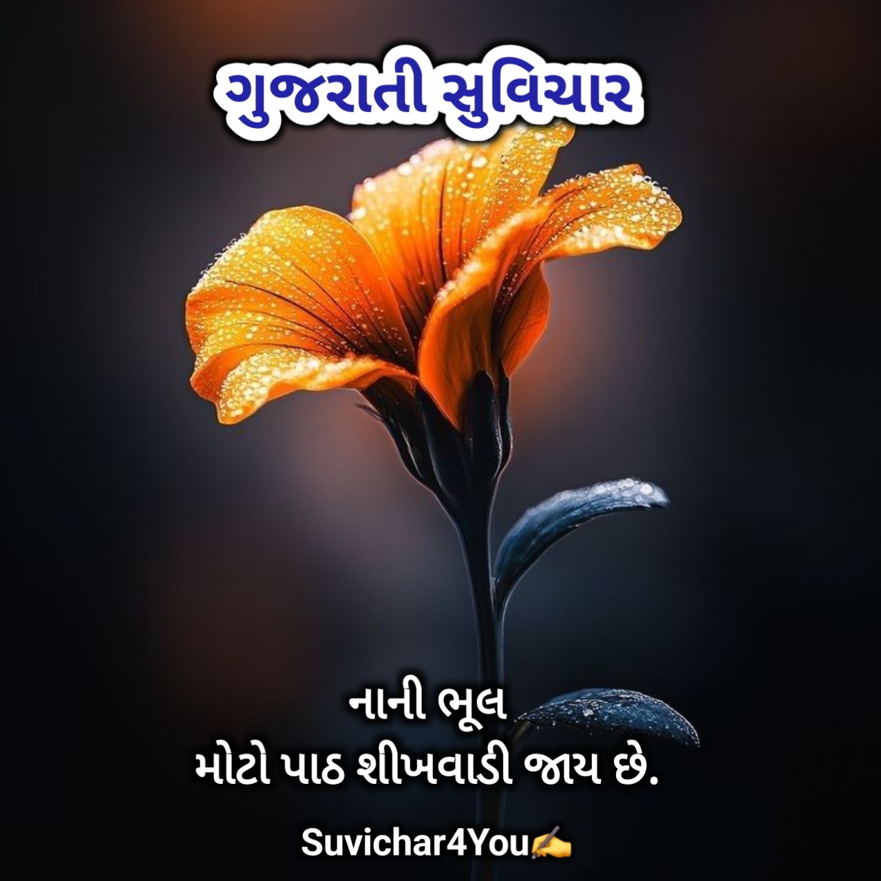 જીવન ગુજરાતી સુવિચાર