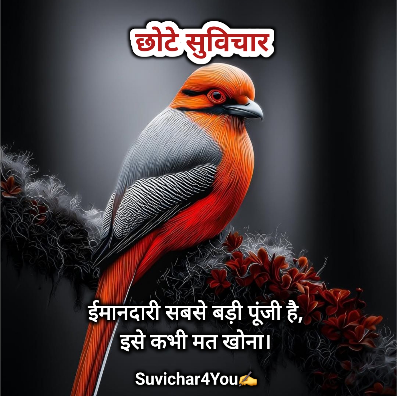 हिंदी छोटे सुविचार फोटो