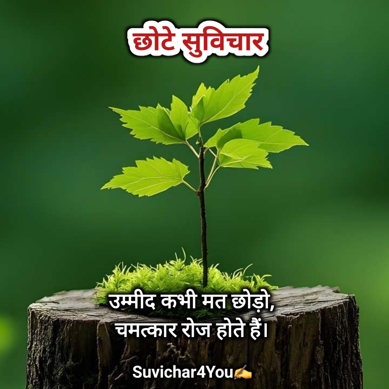 Chhote Suvichar in Hindi