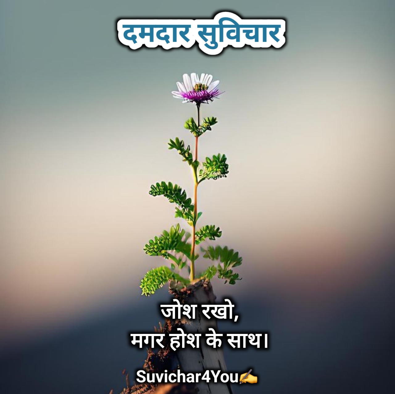 दमदार सुविचार