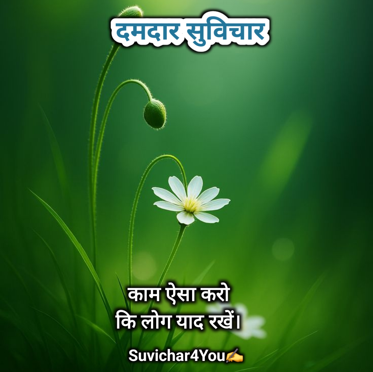 दमदार सुविचार सफलता के लिए