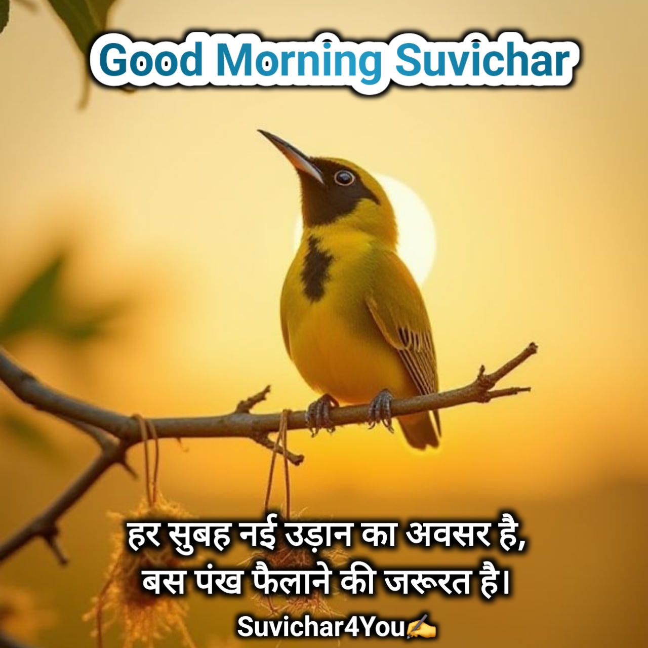 गुड मॉर्निंग सुविचार