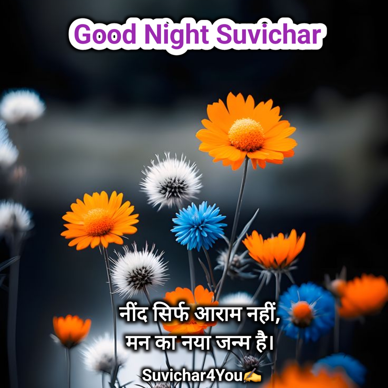 गुड नाईट सुविचार